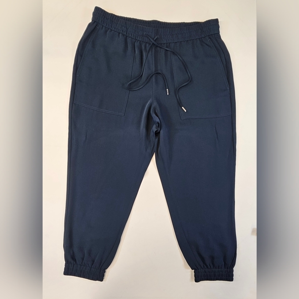 Ann Taylor Womens Teal Pull On Dressy Jogger Pants Drawstring Size Large Casual